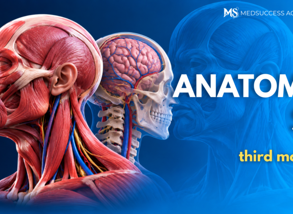 ANAT 3