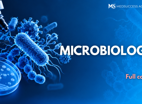 MICRO